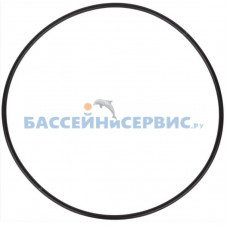 Прокладка-кольцо крышки задней насоса DWK Mayer Schwimmbad LX F02030027